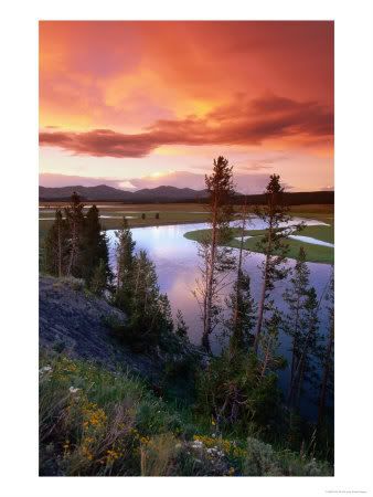 Yellowstone park