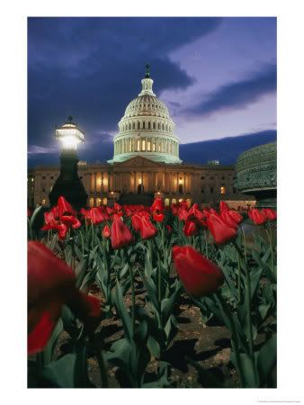 Capital building twilight