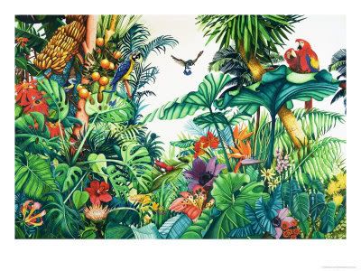 Parrot jungle