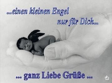 ext. Bild