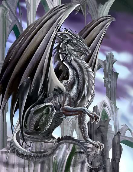 black dragons photo: Black if the Dragons BlackDragon.jpg