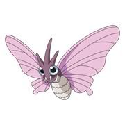 Venomoth.jpg