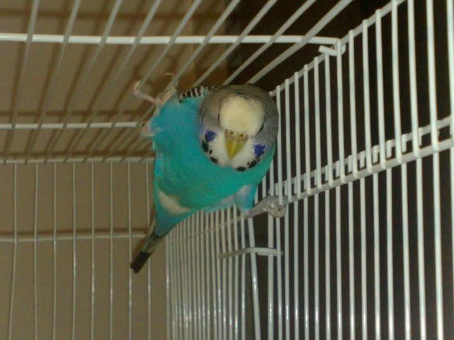 14012008278.jpg
