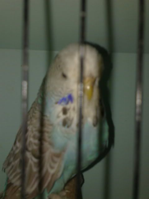 24012008286.jpg