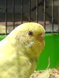 DSC00487.jpg