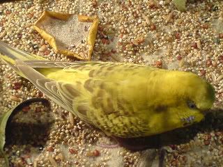 DSC00500.jpg