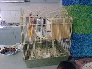 DSC00554.jpg