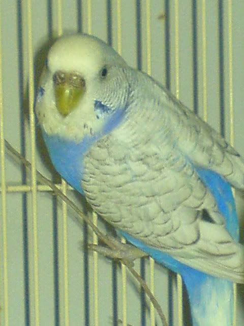 DSC00707.jpg