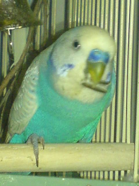 DSC00708.jpg