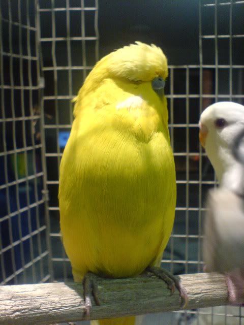 DSC00771.jpg