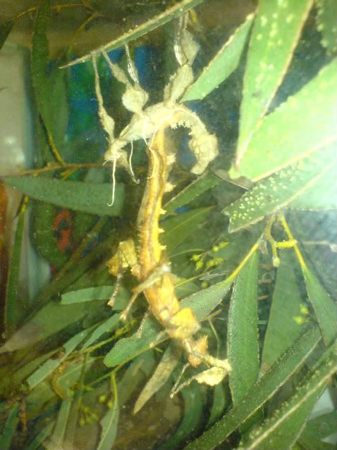 DSC00774.jpg