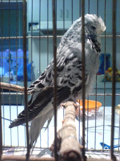 DSC00775.jpg
