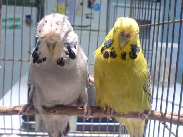 DSC00776.jpg