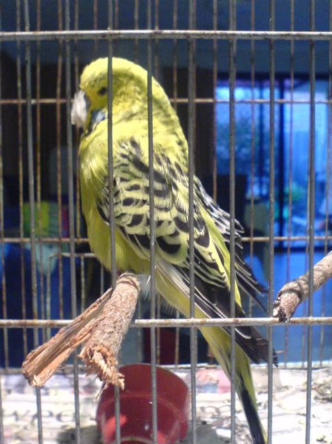 DSC00777.jpg