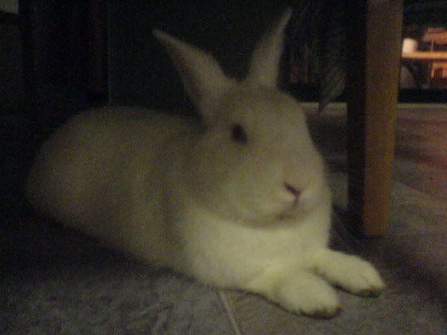 DSC00785.jpg