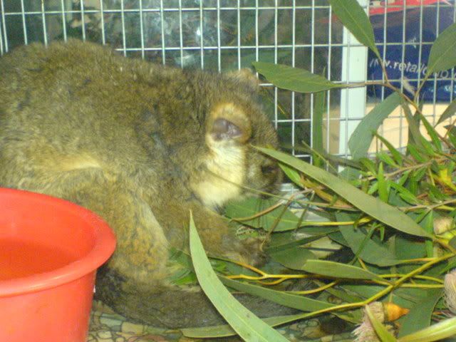 DSC00821.jpg