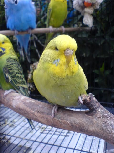 DSC00832.jpg