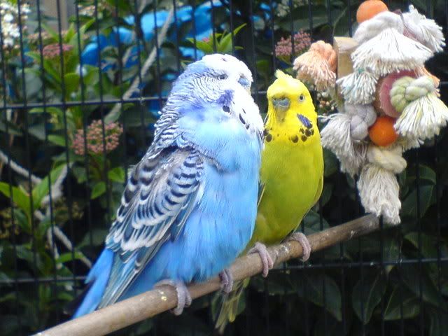 DSC00833.jpg
