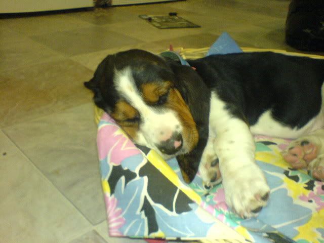 DSC00882.jpg