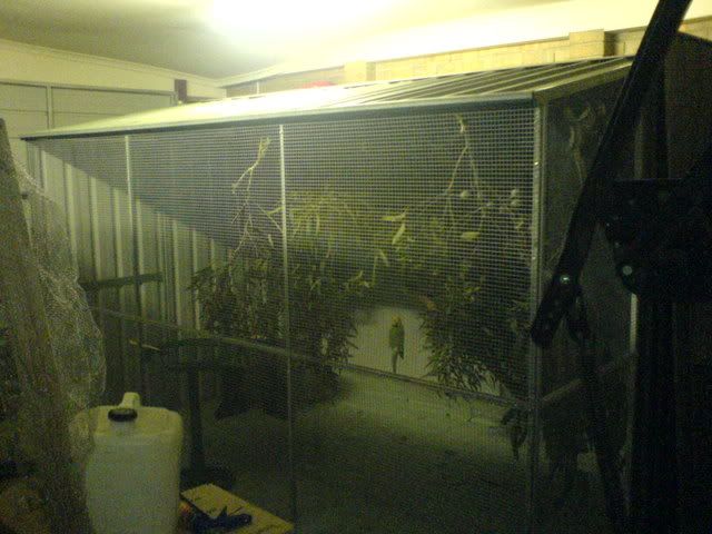 DSC00889.jpg