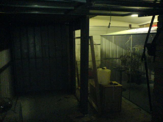 DSC00890.jpg