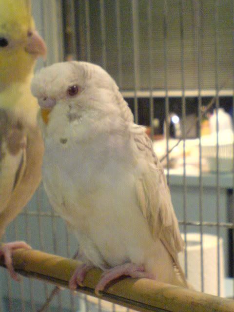 DSC00913.jpg