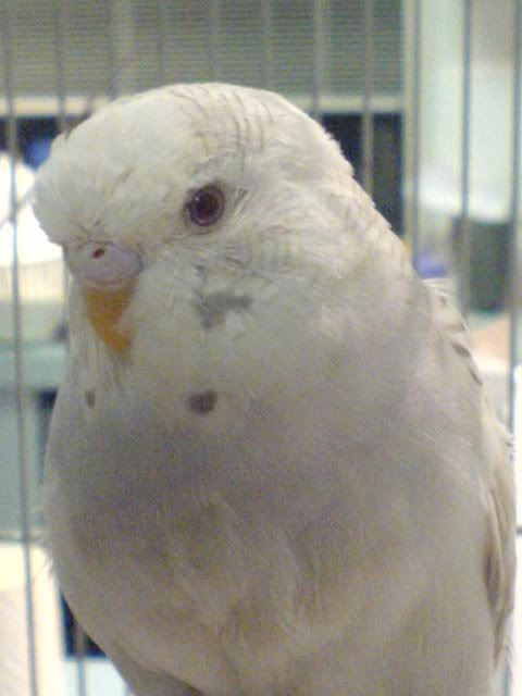 DSC00914.jpg