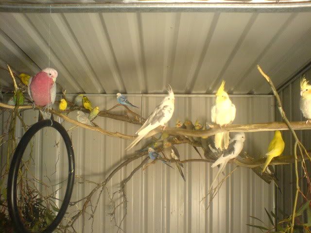 DSC00965.jpg