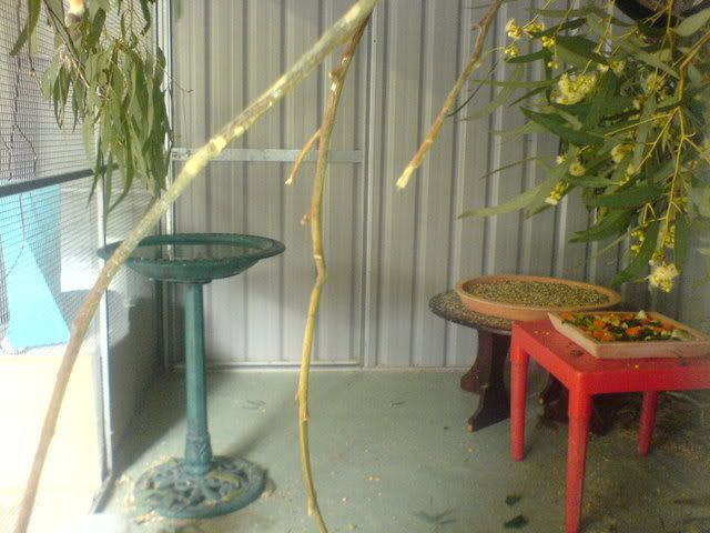 DSC00967.jpg