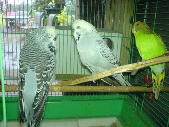 DSC01023.jpg