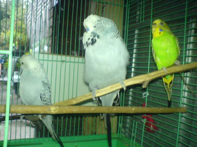 DSC01024.jpg