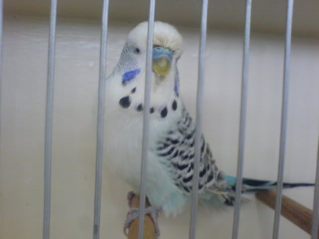DSC01032.jpg