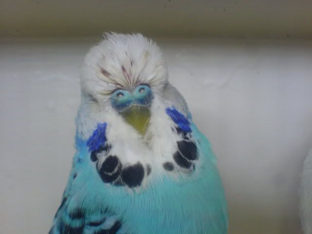 DSC01033.jpg