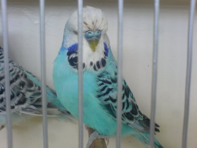 DSC01035.jpg