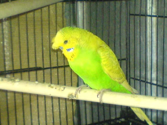 DSC01039.jpg