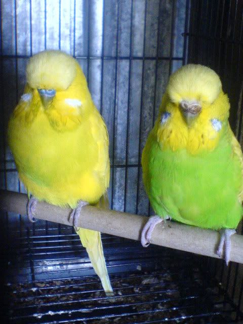 DSC01044.jpg