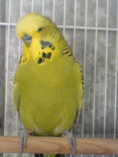 DSC01047.jpg