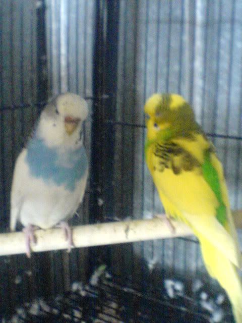 DSC01054.jpg