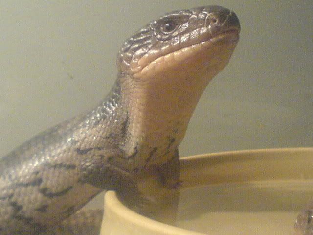 DSC01077.jpg