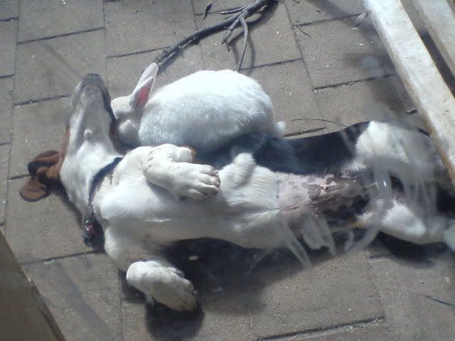 DSC01083.jpg