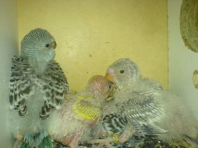 DSC01088.jpg