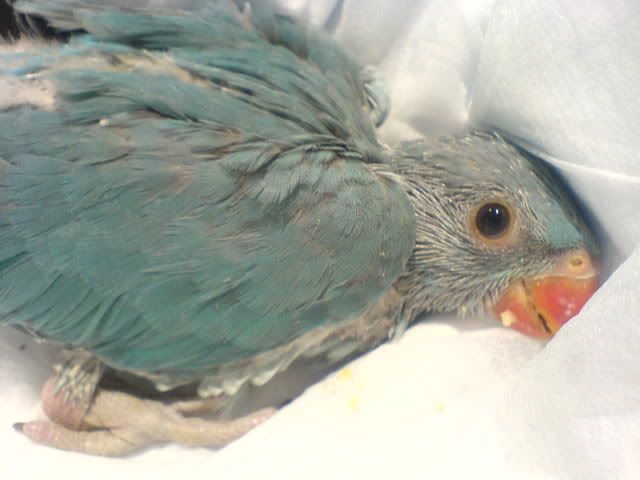 DSC01093.jpg