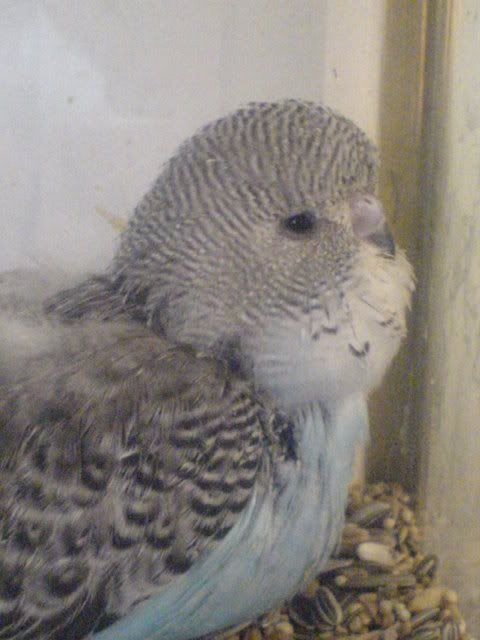 DSC01104.jpg
