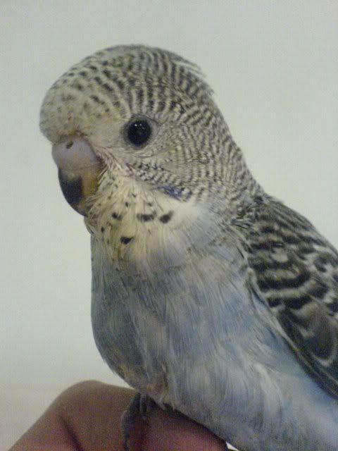 DSC01119.jpg