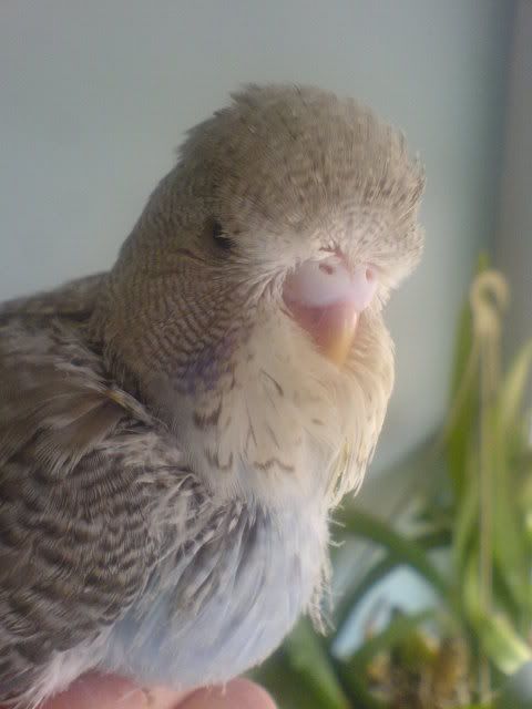 DSC01136.jpg