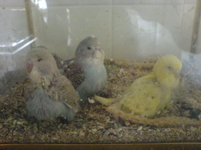 DSC01140.jpg