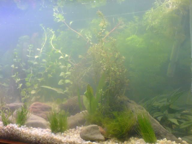 DSC01145.jpg