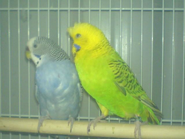DSC01162.jpg