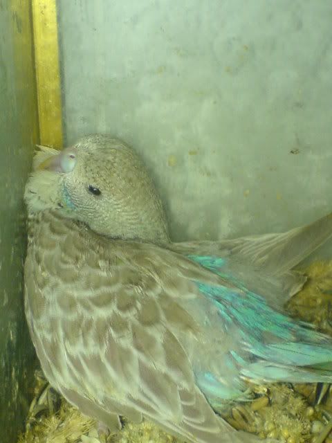 DSC01163.jpg