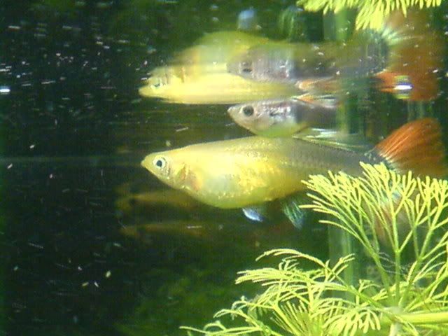 DSC01169.jpg